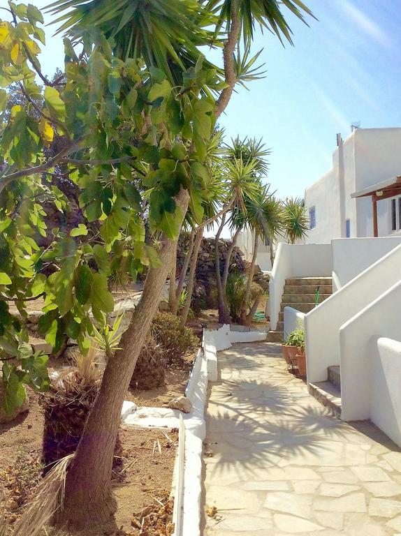 Manos Studios Platys Gialos (Mykonos) Exterior foto